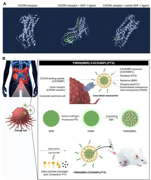 ＡＩ나노치료 연구모식도.