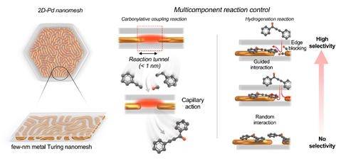 Turing Pd 나노메쉬를적용한 다성분촉매 반응