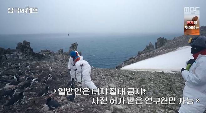 MBC ‘기후환경 프로젝트 - 남극의 셰프’