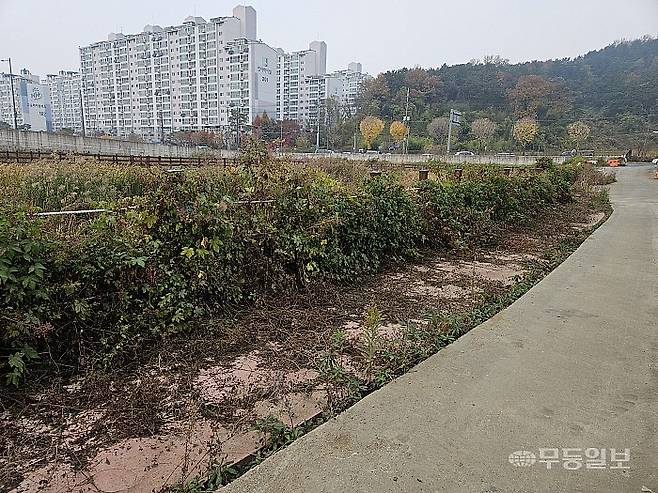 지난해 12월 준공된 광주 남구 진월동 수변공원이 한전 송전탑 공사로 인해 마무리 작업을 하지 못한채 1년 가까이 개장하지 못하고 있는 가운데 산책로에 잡초가 무성하게 자라있다. 강주비 기자