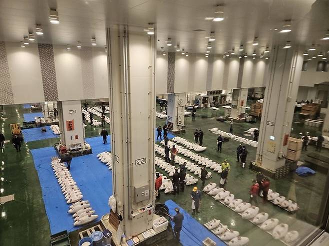 [도쿄=뉴시스] 26일 오전 5시30분께 일본 도쿄도 도요스시장 수산물 도매동 모습. (사진=임소현 기자) *재판매 및 DB 금지