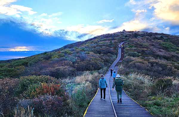 노고단 전경. 노고단은 해발 1,500m의 고산지대에 위치한 30만 평이 넘는 평평한 고원지대다, 알프스 초원 같은 아름다운 풍경 속에서 털진달래, 원추리, 복주머니란, 물매화 등 희귀식물이 계절마다 교대하며 생생하게 자란다.