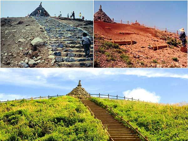 노고단 훼손지 복원. 천 년의 흙과 식물이 다 쓸려나간 황폐지에 기름진 토양과 씨앗을 뿌리고, 주변의 식물을 옮겨 심고, 외래종을 제거하면서 10년 이상 사람 출입을 금지했다. 그 결과 아름다운 자연을 회복해 '구름 위의 꽃밭'으로 불리고 있다.