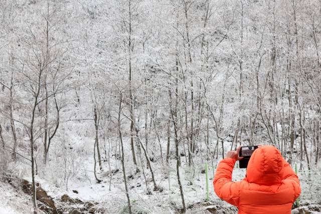 밤사이 강원 산지를 중심으로 많은 눈이 내린 26일 양양군 한계령 정상에서 한 시민이 휴대전화로 설경을 담고 있다. 연합뉴스