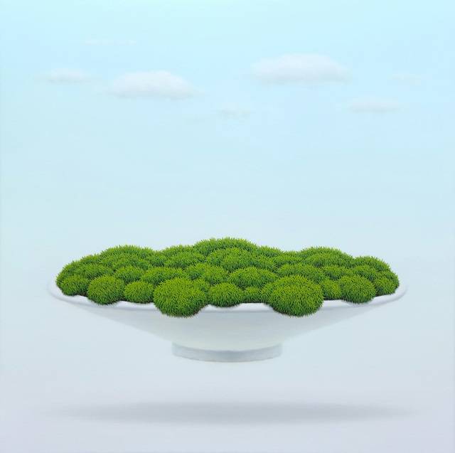 양종용 작, '그릇이끼' 키다리갤러리 제공