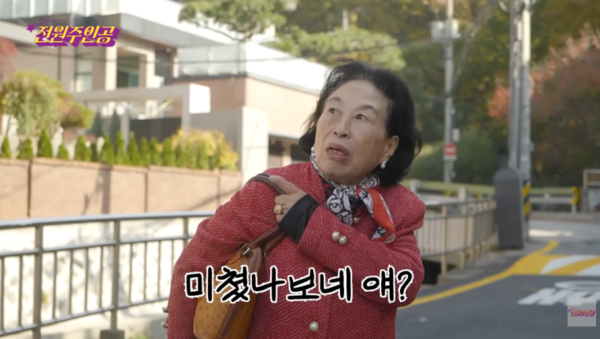 유튜브 채널 '전원주_전원주인공'