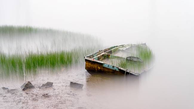동상 수상작 '조용한 회복'. /김남국 작가 제공