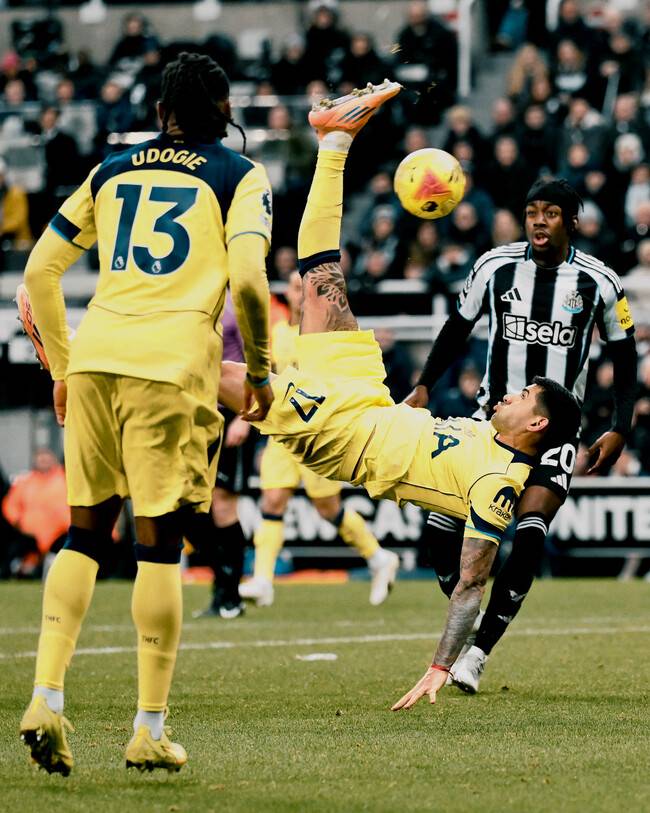 사진=토트넘 홋스퍼