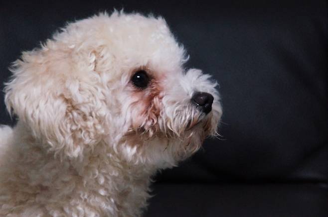 스마트이미지 제공