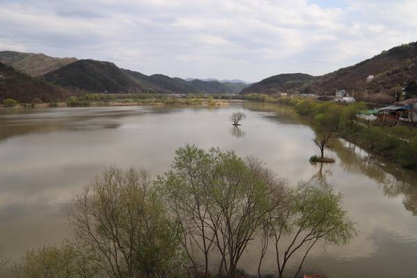 합천 정양늪생태학습관 전망대에서 본 아늑한 늪 풍경. /이서후 기자