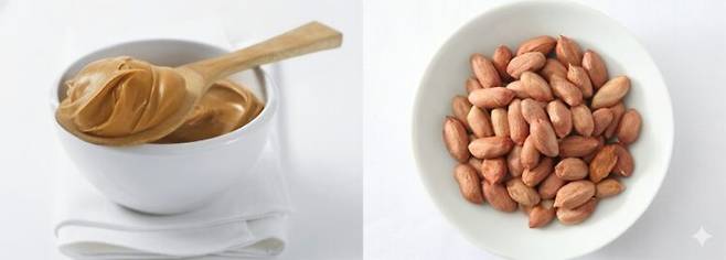 땅콩버터와 땅콩. 사진=클립아틐코리아