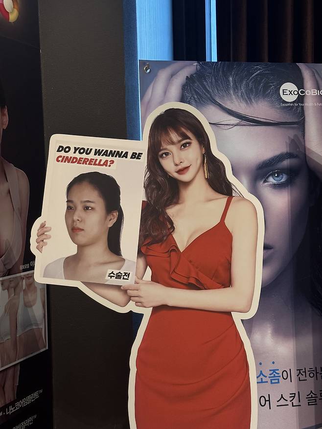 An outdoor sign outside Cinderella Plastic Surgery Hospital, Seoul, reads, “Do you want to be Cinderella?” (Morgan Norris)