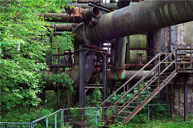 조춘만 ‘식물의 역습’. 제2차 세계대전이 한창일 때 독일군 철모 생산의 95%를 담당했던 폴클링겐제철소