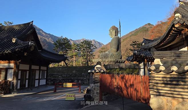 신흥사 통일대불