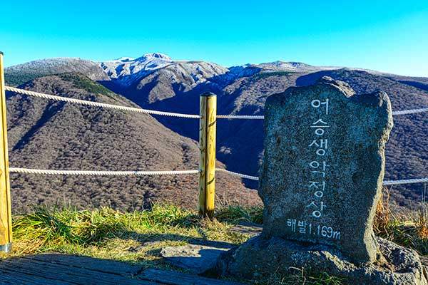 어승생악 정상석. 작고 아담하고 정겹다.
