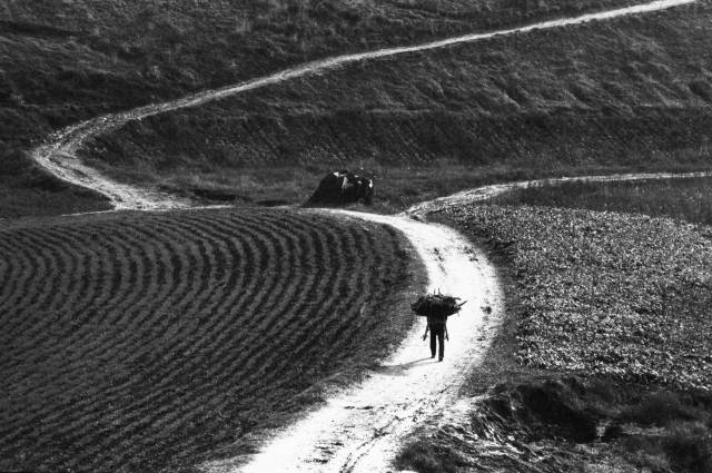 강위원, 1974, 유천.