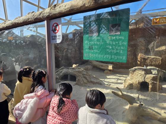 지난달 28일 국립생태원 에코리움에서 어린이들이 유기되거나 밀반입된 뒤 보호 중인 사막여우를 구경하고 있다. 이영근 기자