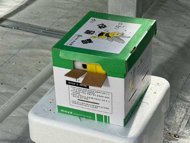 ▲ 임대형 스마트팜 온실 내에서 딸기 수정을 위해 배치된 수정벌 상자. 자동화 설비와 함께 유기적 재배 환경을 구성한다.  박재혁 기자