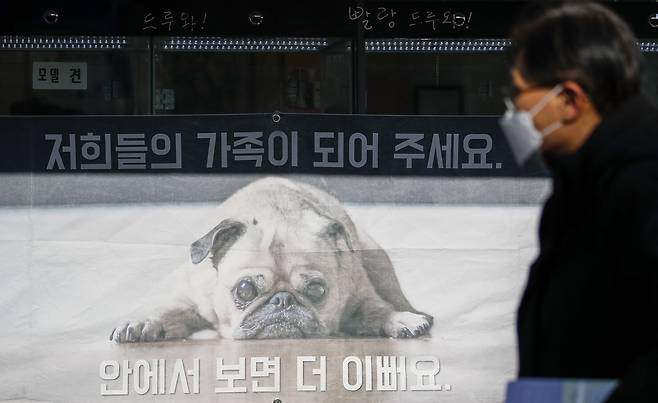 서울 시내의 반려동물 관련 업체의 모습 [뉴시스]