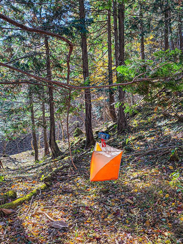 경기 중 만나는 컨트롤 모양. 나무 뒤나 바위 아래 숨겨져 있는 경우도 있다. 손목에 부착된 칩을 구멍에 넣어 태그한다.