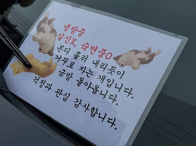 올 여름 동물 학대 의심으로 신고당한 견주가 만든 차량 안내문. /인스타그램 캡처
