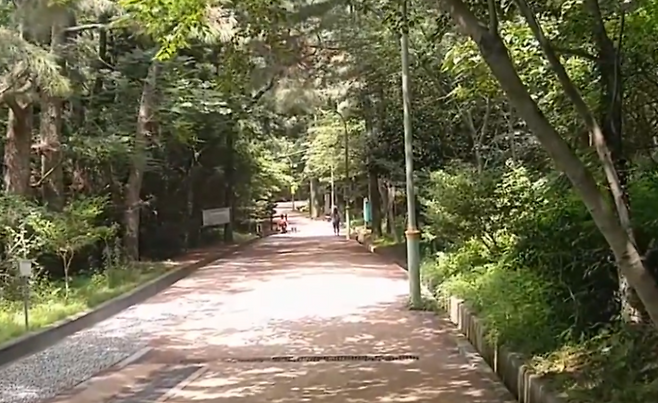 해병대 9여단이 위치해 있는 제주시 남조순오름 산책로. 산채로 오른쪽을 따라 해병대 부대가 자리해 있다.