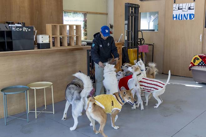아이들이 가장 좋아하는 간식타임. 장진영 기자
