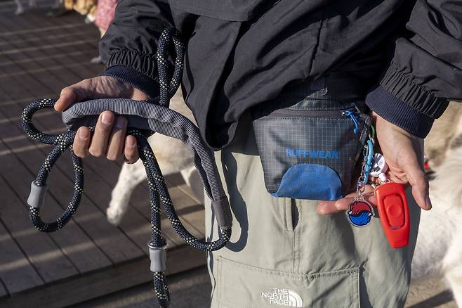 훈트의 아이들을 돌볼때 사용하는 물품들. 왼쪽부터 리드줄, 간식이 있어있는 트릿백, 훈련에 필요한 클리커. 장진영 기자