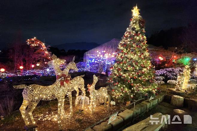 [창원=뉴시스]창원 진해보타닉뮤지엄.(사진=경남도 제공) 2025.12.06. *재판매 및 DB 금지