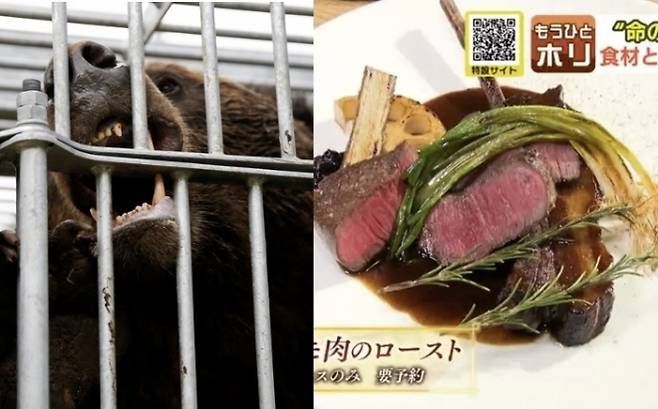 2024년 10월 일본 홋카이도에서 포획된 불곰(왼쪽). 홋카이도 삿포로시의 한 레스토랑은 포획돼 도축된 곰고기를 사용한 스테이크를 선보였다. 자료 : 로이터 연합뉴스·HBC