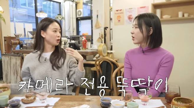 연예계 이슈 - 도박나라