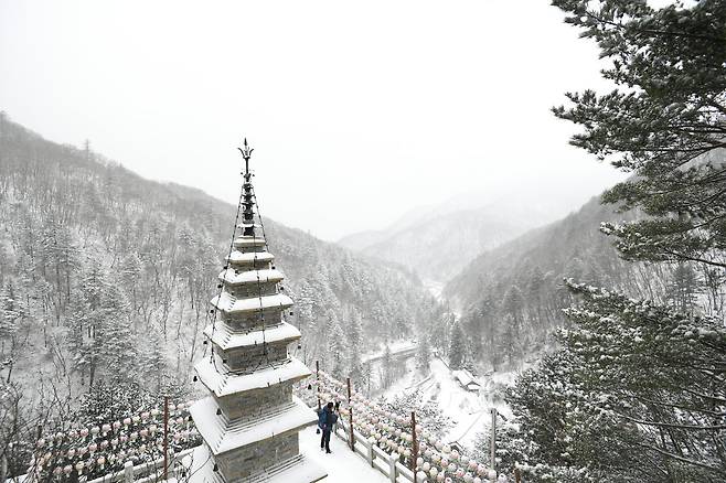 국보 제332호 수마노탑과 눈꽃이 어우러진 정암사 풍경. 정선군 제공