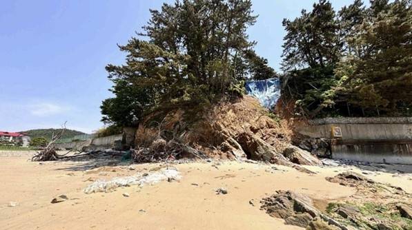 천리포해수욕장 침식 [녹색연합 제공. 재판매 및 DB금지]