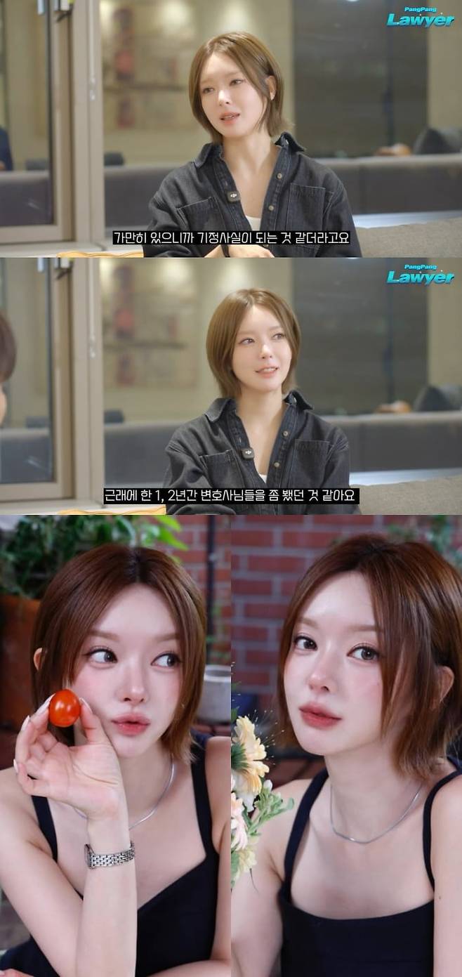 사진 = 유튜브 채널 '팡팡 변호사 / 초아 SNS