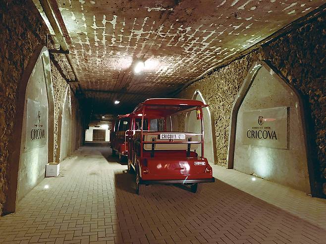 총 120km에 달하는 와이너리 내부 통로. 그중 4~5km 정도 기차를 타고 이동했다.
