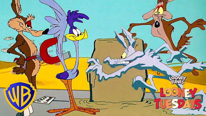 달리기가 너무 빨라서 이름도 \'로드러너(Road Runner)\'인 새 ㅋㅋㅋ.MP4