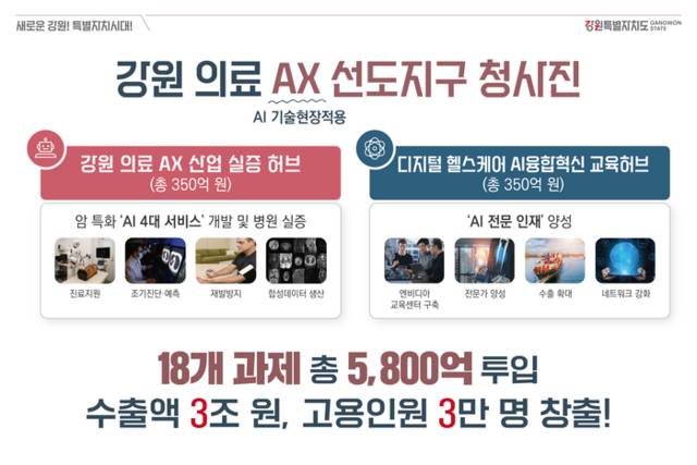 ▲ 강원 의료 AX 선도지구 청사진. 강원도 제공