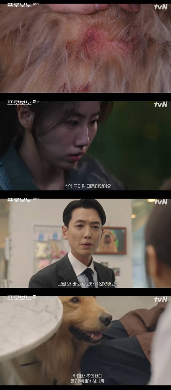 tvN 토일드라마 ‘프로보노’