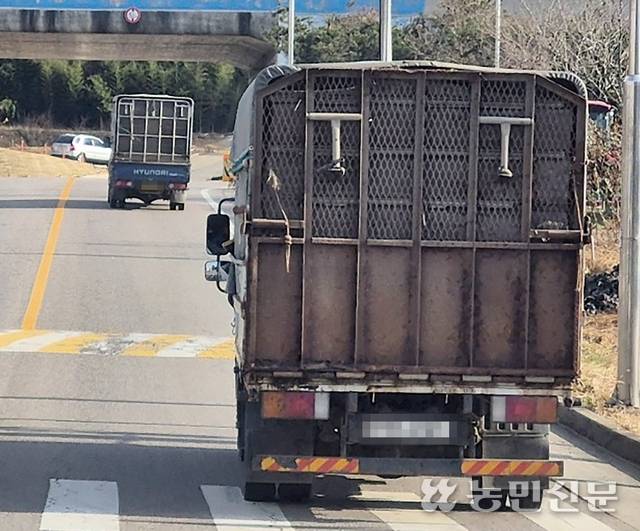 합덕읍의 한 도로에서 가축을 실은 트럭 2대가 연이어 달리고 있다. 차량 뒷쪽에선 동물의 분뇨로 추정되는 액체가 흘러나오는 모습도 포착됐다.