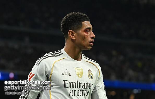 스포츠 이슈 - 도박나라