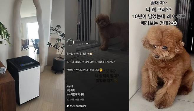 박나래 '주사이모' A씨가 샤이니 키 집에서 찍은 것으로 추정되는 사진과 영상. /사진=뉴시스