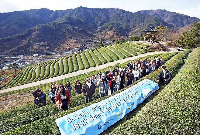 Students pose for a photo at the Jeonggeum Tea Field on Dec. 3. [PARK SANG-MOON]