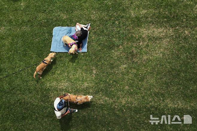 [부에노스아이레스=AP/뉴시스] 8일(현지 시간) 아르헨티나 부에노스아이레스 팔레르모 공원에서 열린 세계에서 가장 많은 골든 리트리버가 한자리에 모이는 세계 기록 도전 행사에 참가한 참가자들이 반려견과 즐거운 시간을 보내고 있다. 2025.12.09.