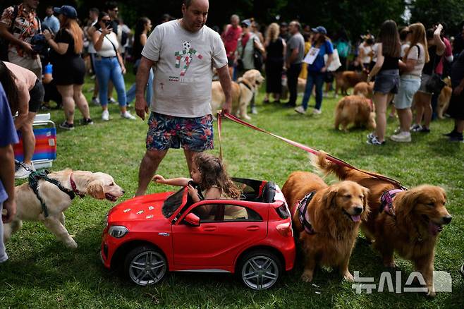 [부에노스아이레스=AP/뉴시스] 8일(현지 시간) 아르헨티나 부에노스아이레스 팔레르모 공원에서 열린 세계에서 가장 많은 골든 리트리버가 한자리에 모이는 세계 기록 도전 행사에 참가한 참가자들이 반려견과 즐거운 시간을 보내고 있다. 2025.12.09.
