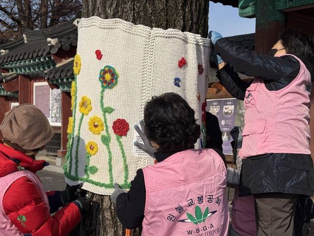 전주시자원봉사센터의 ‘나무야, 안아 줄게! 트리허그’ 사업에 함께하는 재능봉사단체인 원불교 전북봉공회 봉사자들이 10일 오전 전주 한옥마을 태조로에서 나무에 뜨개 옷을 입히고 있다. 박현우 기자