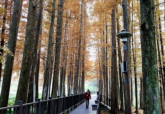 자연 속 힐링은 물론 사진 맛집이다.