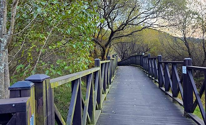 데크로 돼 있어 산책하기 좋은 호수생태원.