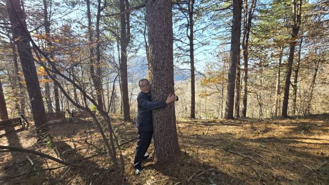 당시 조림 담당 공무원이었던 박규원 한국산림녹화 유네스코 등재 추진위원이 단지 내 한아름 자란 나무를 끌어안고 있다. &nbsp;최현정 기자
