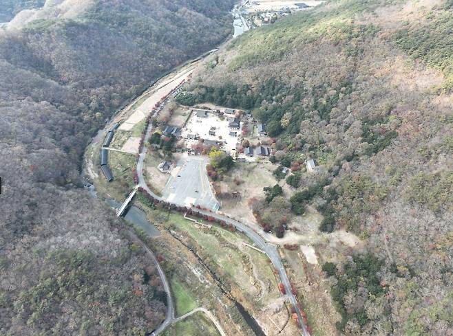 보림사 비자림 일원. 전남도 제공