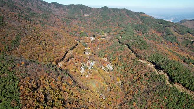 [보령=뉴시스] 보령시 오서산 자연 휴양림 전경. (사진=보령시청 제공) 2025.12.10. photo@newsis.com *재판매 및 DB 금지